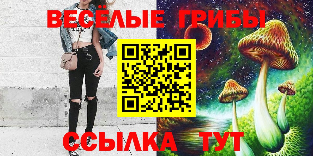 Михайловск  где купить   Вход с VPN  Галлюциногенные грибы GOLDEN TEACHER 